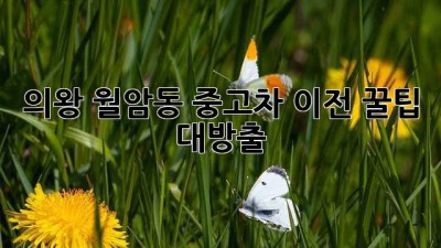 의왕 월암동 중고차 이전, 꿀팁 대방출! 🚗💨